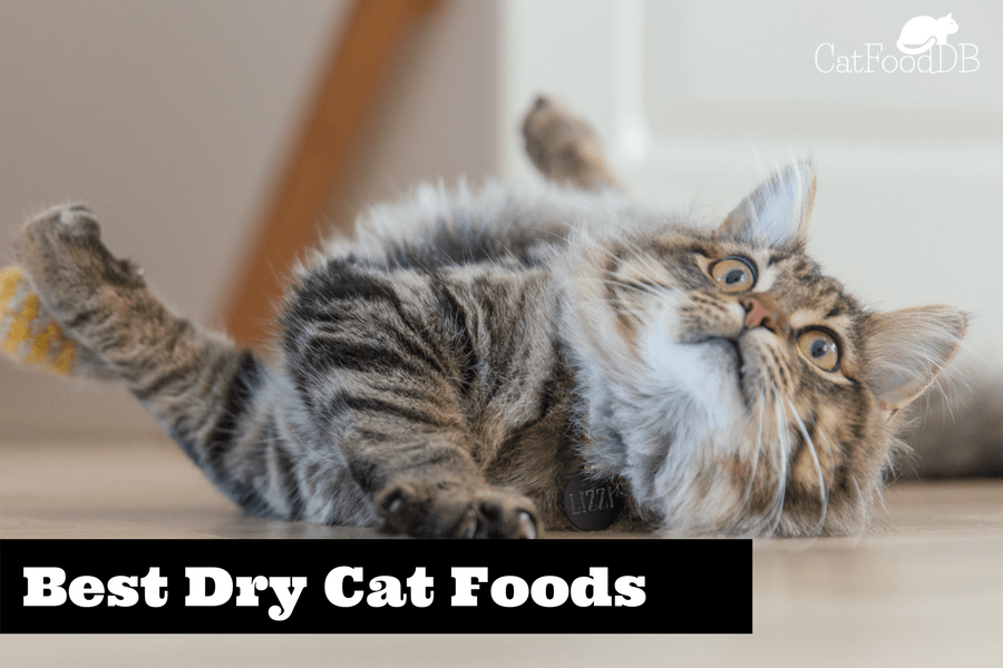 Cat Food Comparison Chart