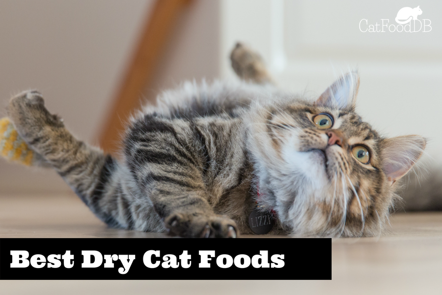 CatfoodDB's Unbiased List Of The Best Dry Cat Foods (2021)