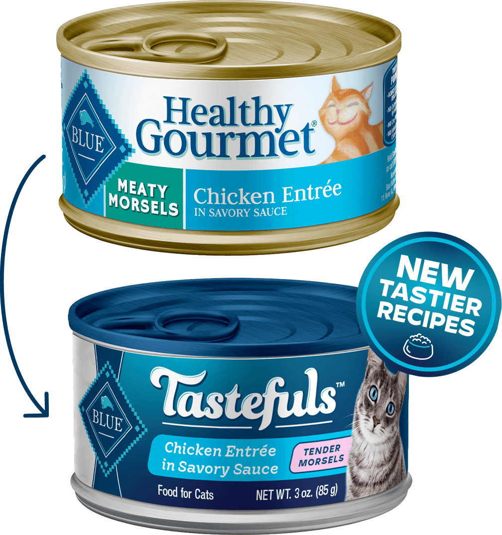 Blue Buffalo Healthy Gourmet Meaty Morsels Chicken Entree Cat Food