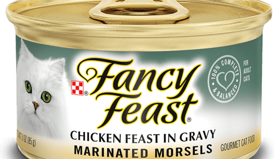 Fancy Feast Marinated Morsels Chicken Gourmet In Gravy Cat Food Review