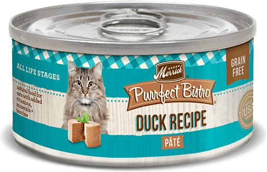 Merrick Purrfect Bistro Grain Free Duck Pate Cat Food Review 2020