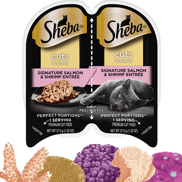 Whiskas perfect portions calories clearance