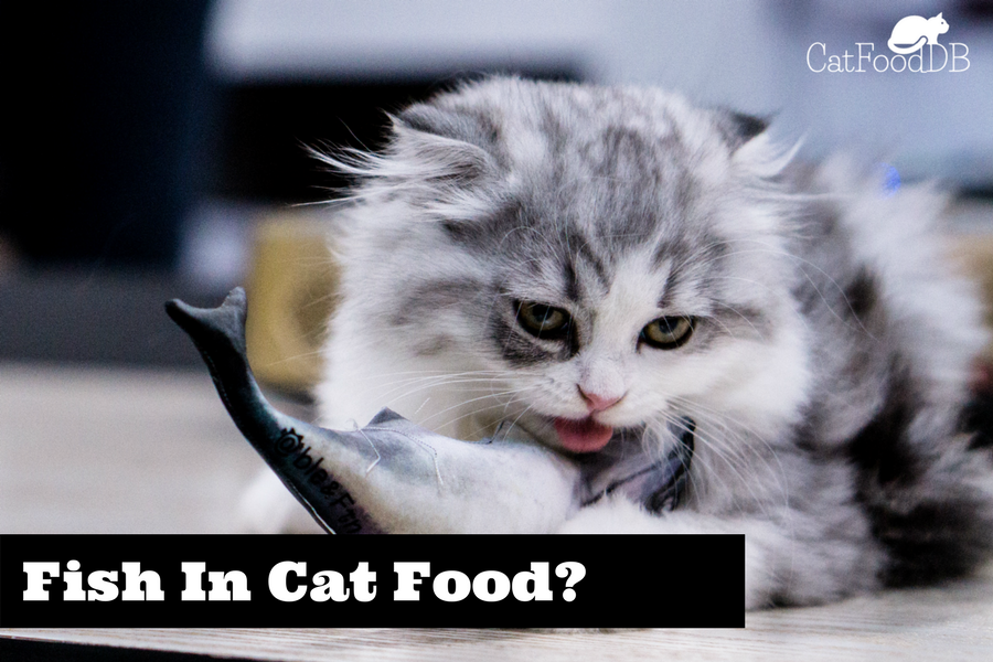 Fish In Cat Food - Yay or Nay?