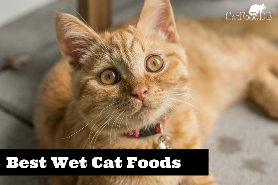 CatFoodDB's Best Wet Cat Foods