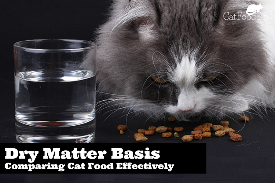 Dry Matter Basis: Comparing Cat Food Effectively