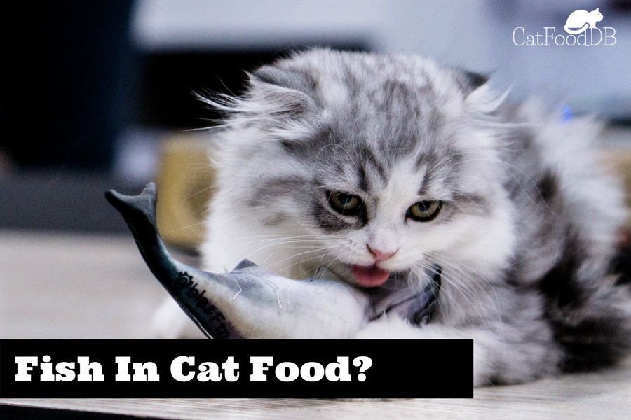 is fish flavored food bad for cats