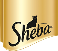 Sheba Cat Food Reviews