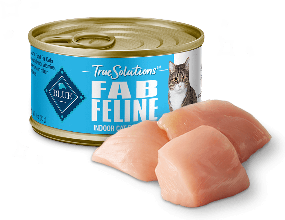 automatic pet feeder wet cat food Pre-Sale