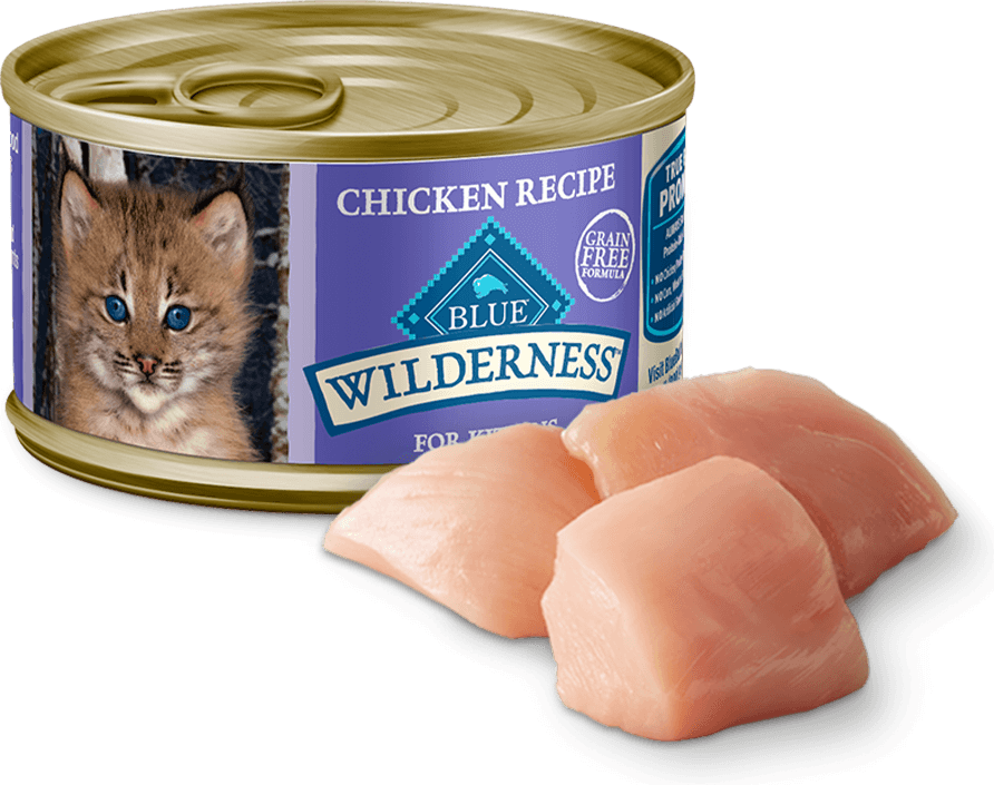 Chicken Recipe Blue Wilderness Cat Food Review Cat Treats Blue Buffalo  Kitten Food Reviews Blue Buffalo