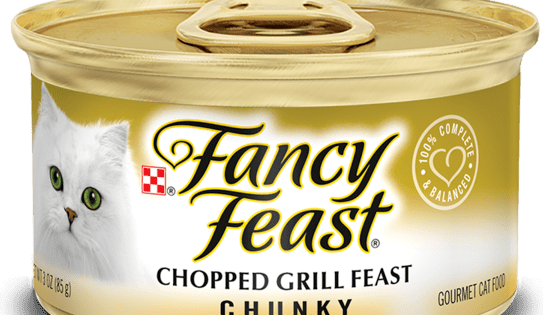 fancy feast turkey cat food