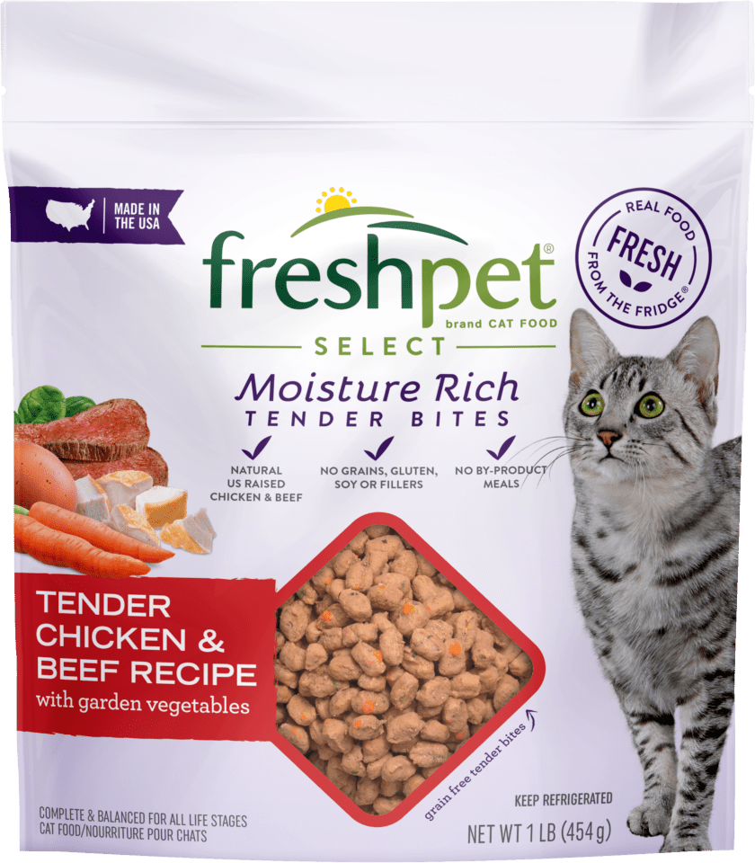 Freshpet Cat Food Reviews