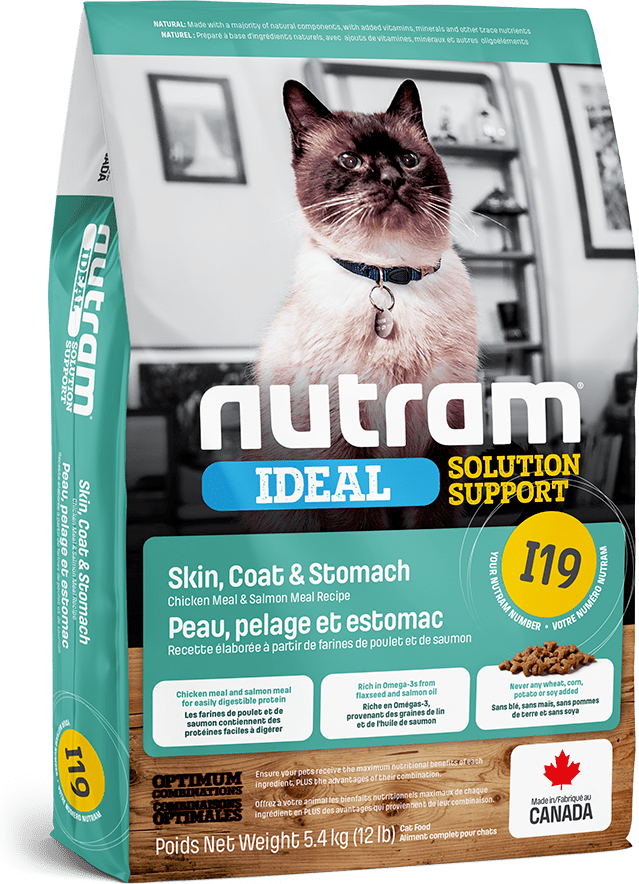 Dry cat food reviews 2019 shop