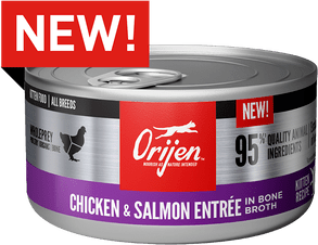 orijen wet cat food