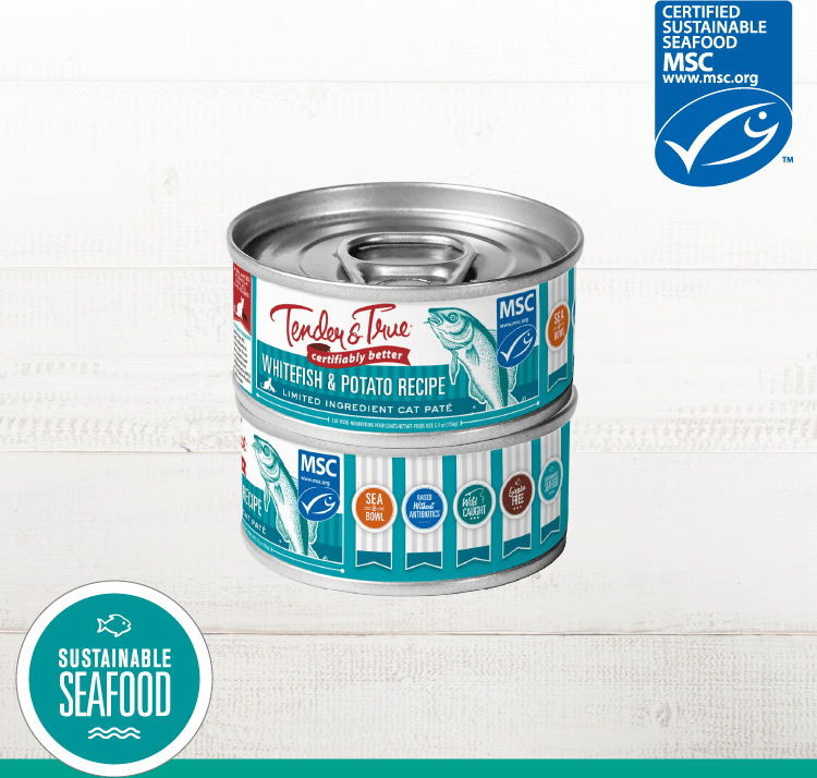Tender &amp; True Ocean Whitefish &amp; Potato Cat Food Review