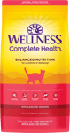 Wellness Complete Health Adult With Wholesome Grains Adult: Salmon & Salmon Meal