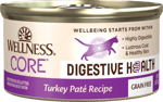 Wellness Core Digestive Health Paté Turkey